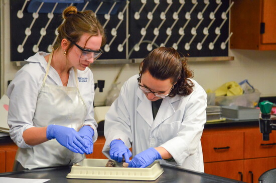 Photo by Megan Winnicker