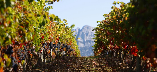 La Rioja Alavesa