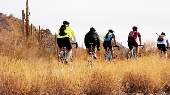 Featured image for El Tour de Tucson