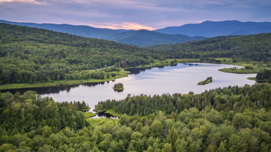 Donna's portrait photography