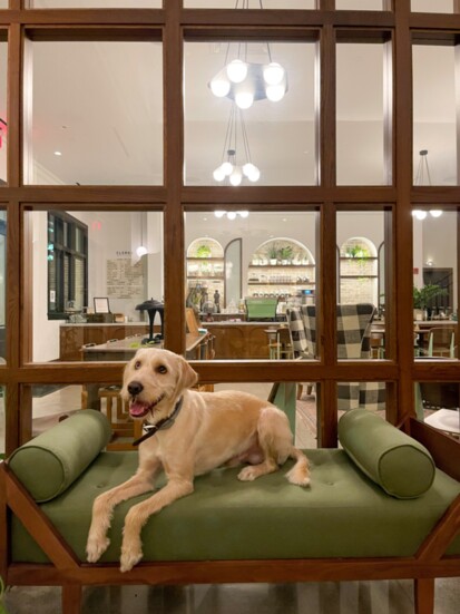 Emeline is super pet friendly. Ask about their Pawsome Package.