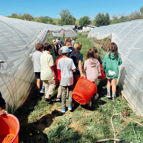 Photo courtesy of BCD