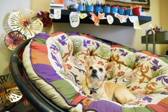 Benny, the studio pup, is a big hit with students who draw his portrait to display.