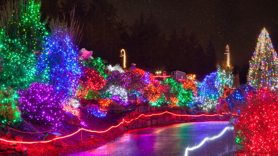 Fernbank Lighted Forest