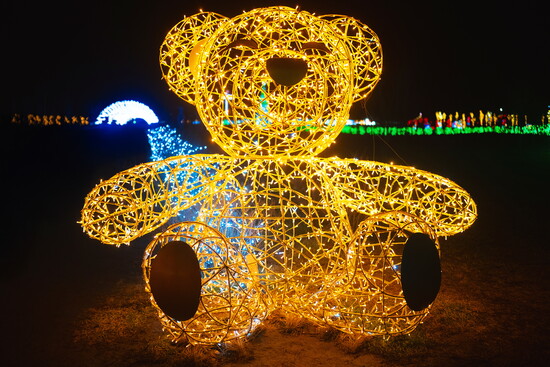 Illumination's at the Zoo