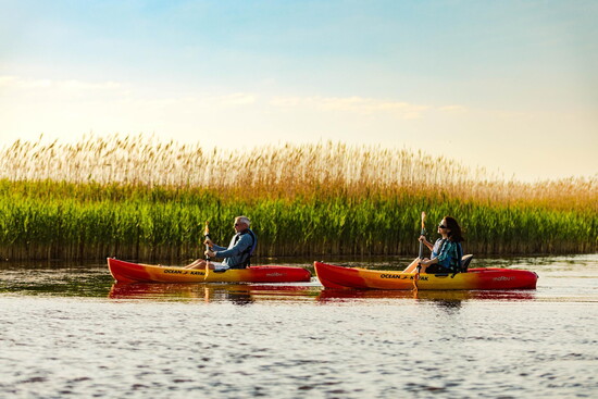 Backbay kayaking