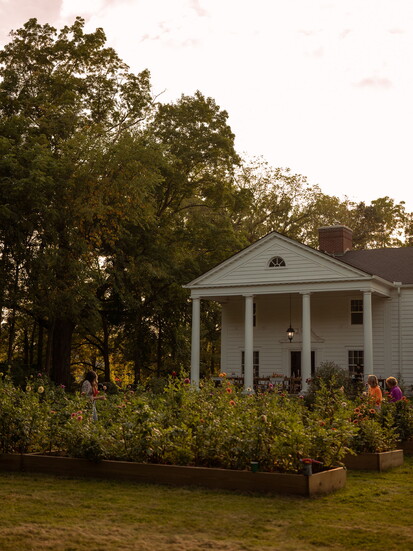 The dreamiest setting.