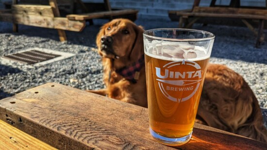 Uinta Brewing Company