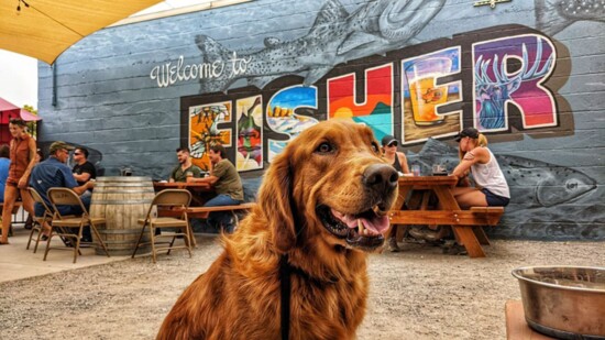 Fisher Brewing Company