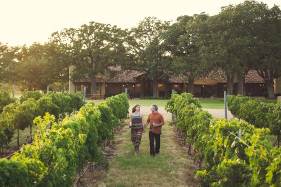 Visit Grape Creek Vineyards (Photo: Blake Mistich)