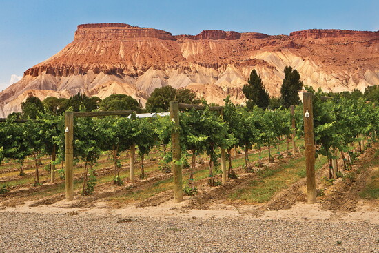 Visit PalisadesC