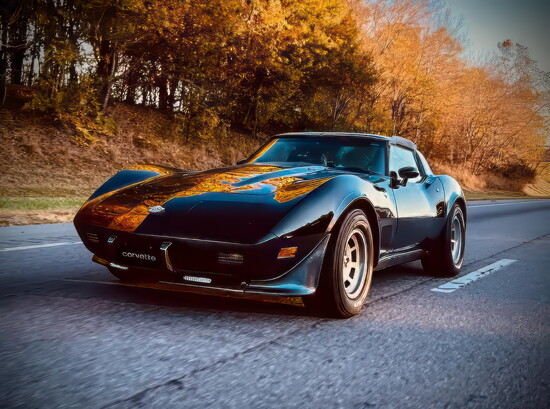 1978 Chevrolet 25th Anniversary Edition 