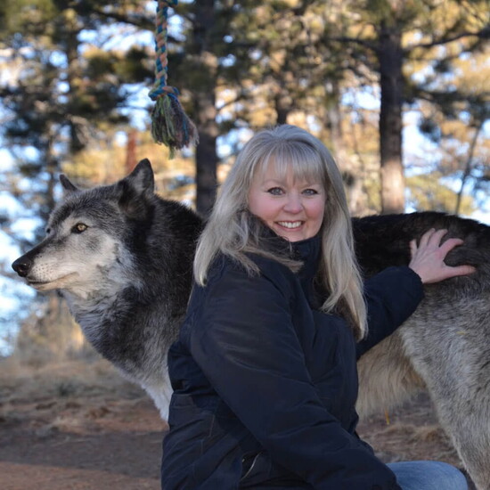 Spirit Wolf Energetics
