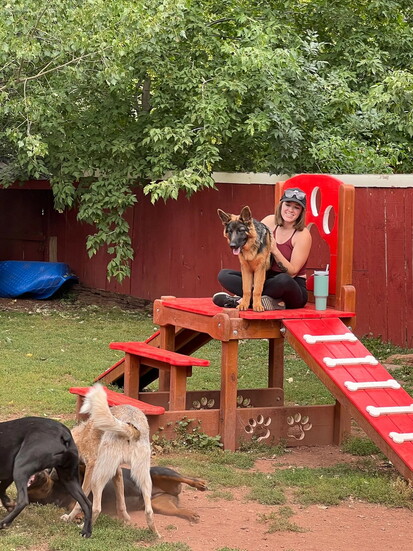 Willow Tree Kennels