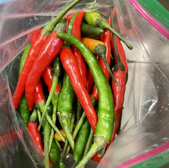 Indian Peppers