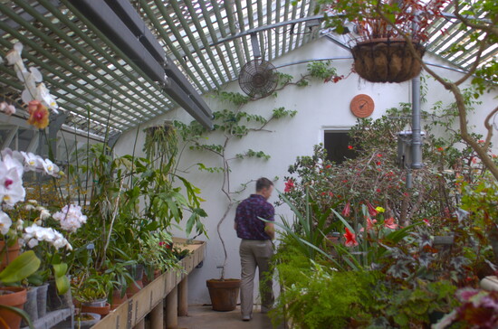 Exploring the greenhouse at Hills & Dales Estate