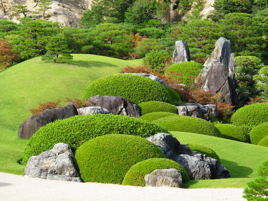Landscaping experts and more