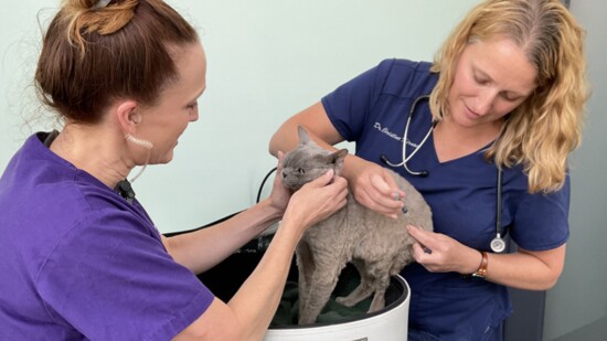 Dr. Christine assisted by Caroline