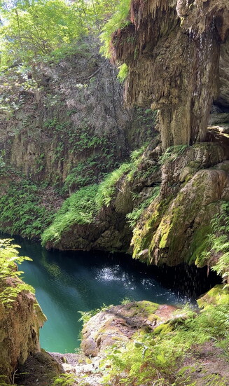 Westcave Outdoor Discovery Center grotto. Photo by Yvette Arriaga.