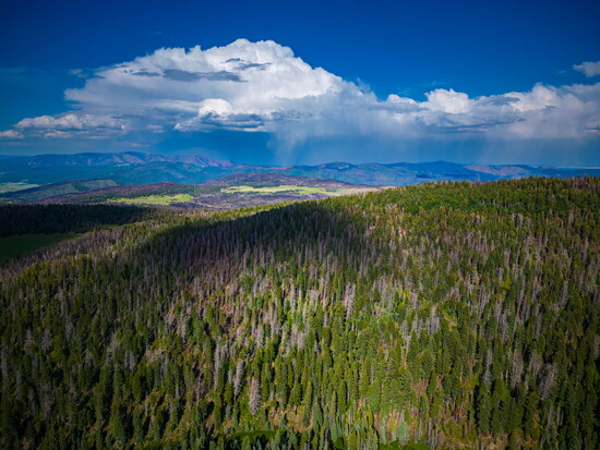 Northern New Mexico wilderness