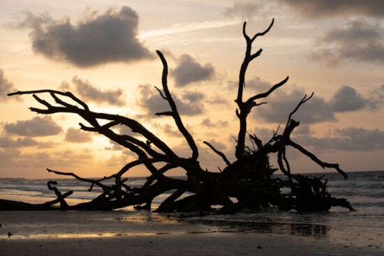 Sunrise at Botany Bay