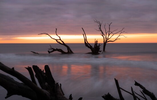 Sunrise at Boneyard Beach on Bulls Island