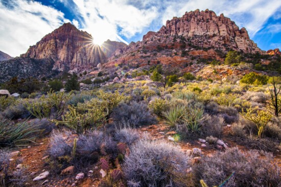 Sunset on a desert ridge in Red Rock Canyon