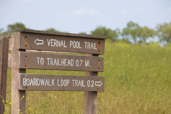 Step into stillness. The Santa Rosa Plateau welcomes you with over 9,000 acres of unspoiled, soul-soothing terrain.