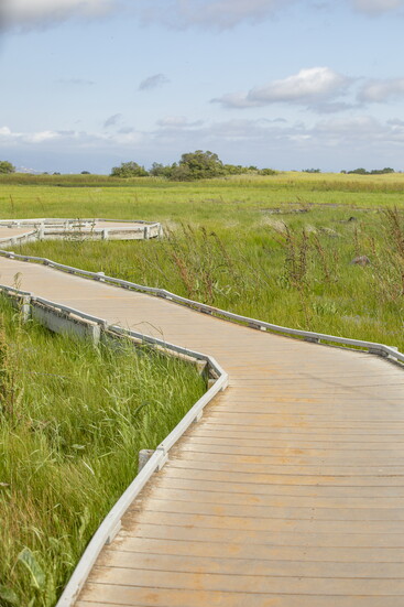 Nature therapy is only a short drive from downtown Temecula.