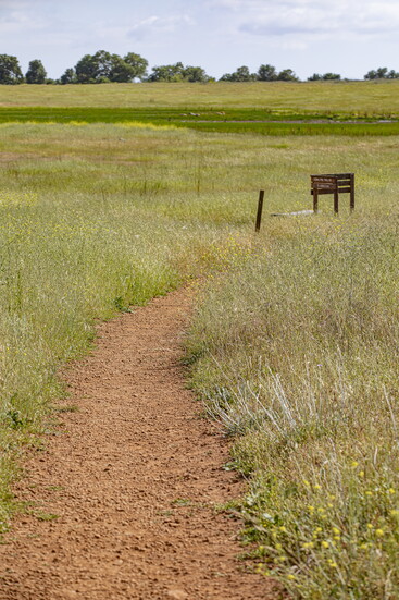 Family-friendly paths make nature exploration accessible—and unforgettable.
