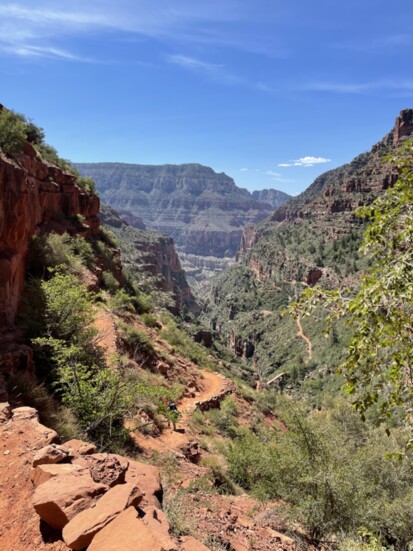 Grand Canyon National Park. Photo by William Graham