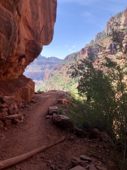 Grand Canyon National Park. Photo by William Graham