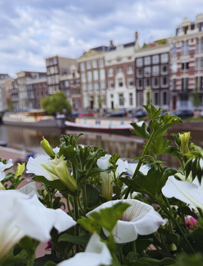 Flowers, canals, and colorful houses in Amsterdam