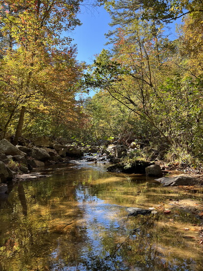 Pickle Creek
