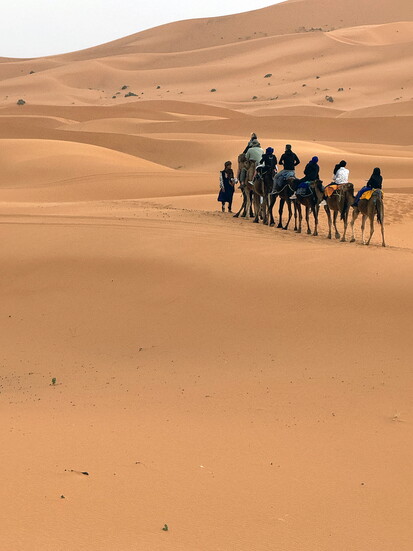 Sahara Desert 