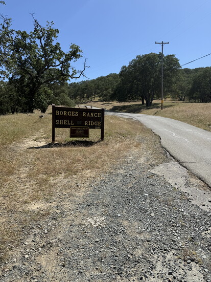 Shell Ridge