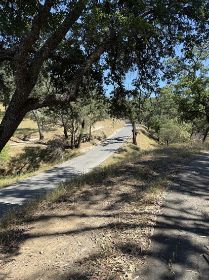 Shell Ridge
