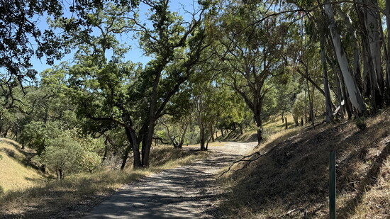 Shell Ridge