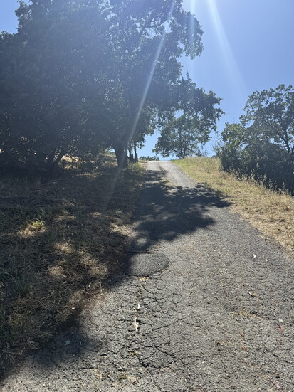 Acalanes Ridge