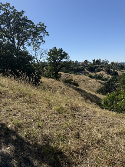 Acalanes Ridge
