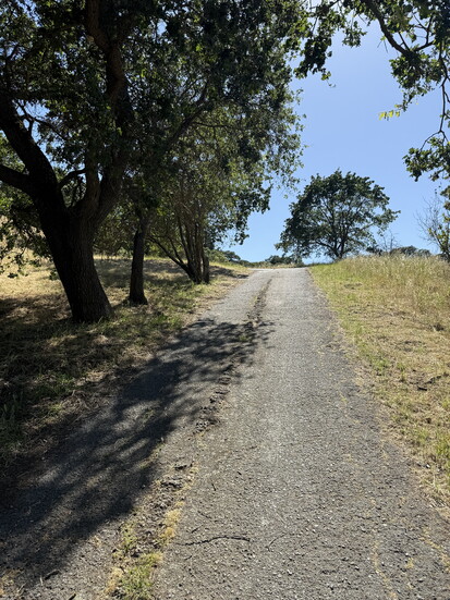 Acalanes Ridge