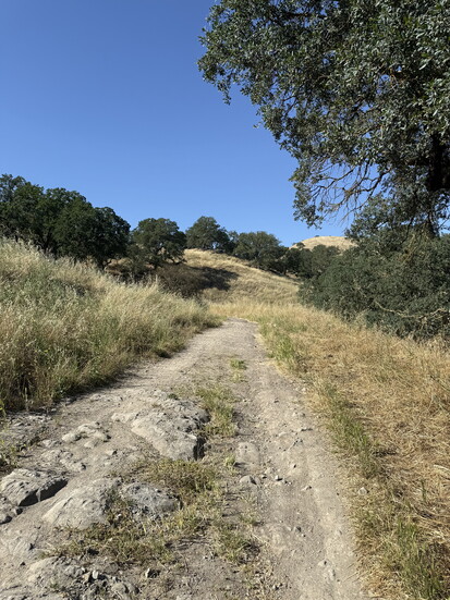 Lime Ridge 