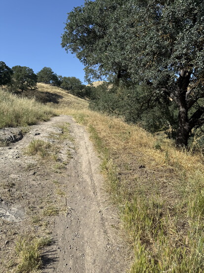 Lime Ridge 