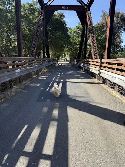 Iron Horse Regional Trail
