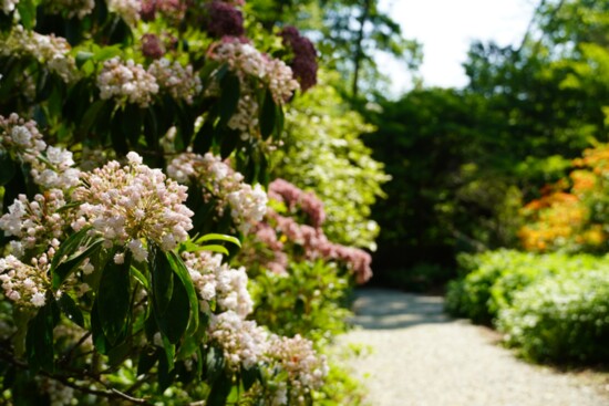 One of the paved paths 