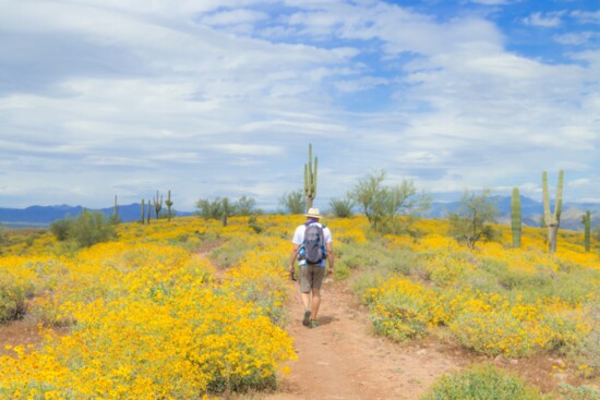 Superstition Mountains