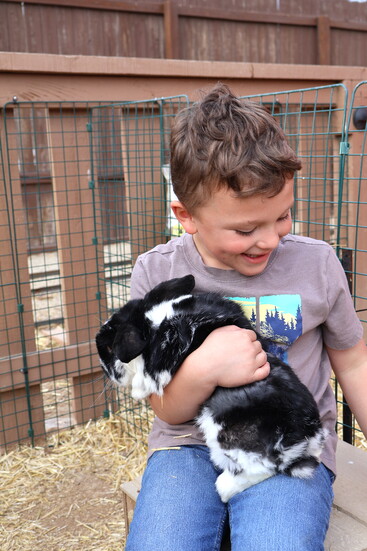 Petting zoo at Richochet Canyon; photo courtesy of Gardner Village