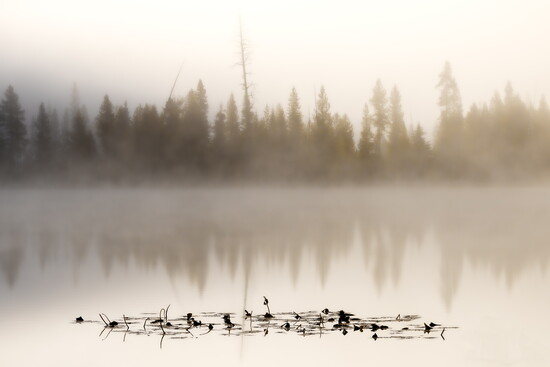Yellowstone National Park