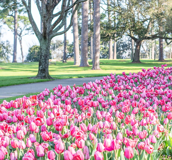 Vibrant floral displays are maintained year-round by the town's horticulture and landscape specialists. (Photo: Fairhopers.com) 