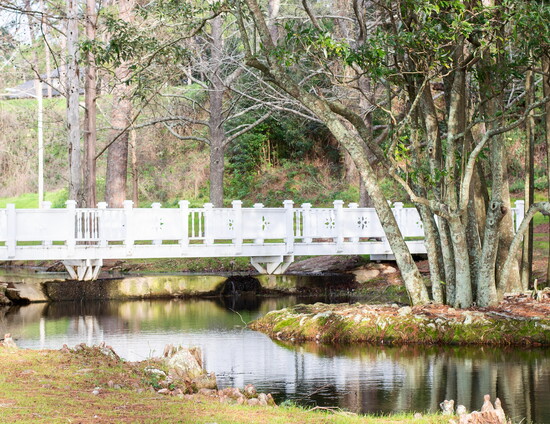 Nearly 500 species of trees can be found along the North Beach Park Tree Trail at Fairhope Municipal Pier. (Photo: Fairhopers.com)